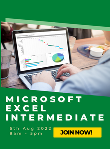 Microsoft Excel Intermediate (Chi)