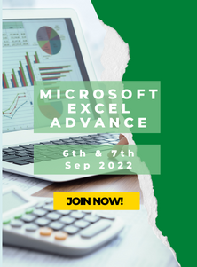 Microsoft Excel Advance (Chi)